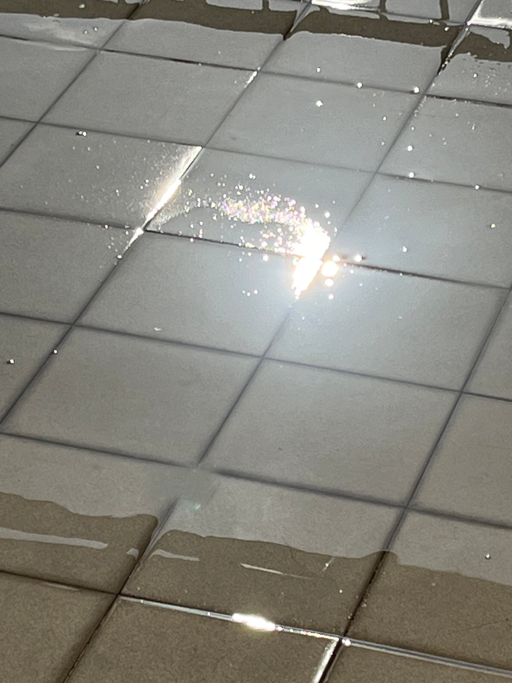 Reflective Glare