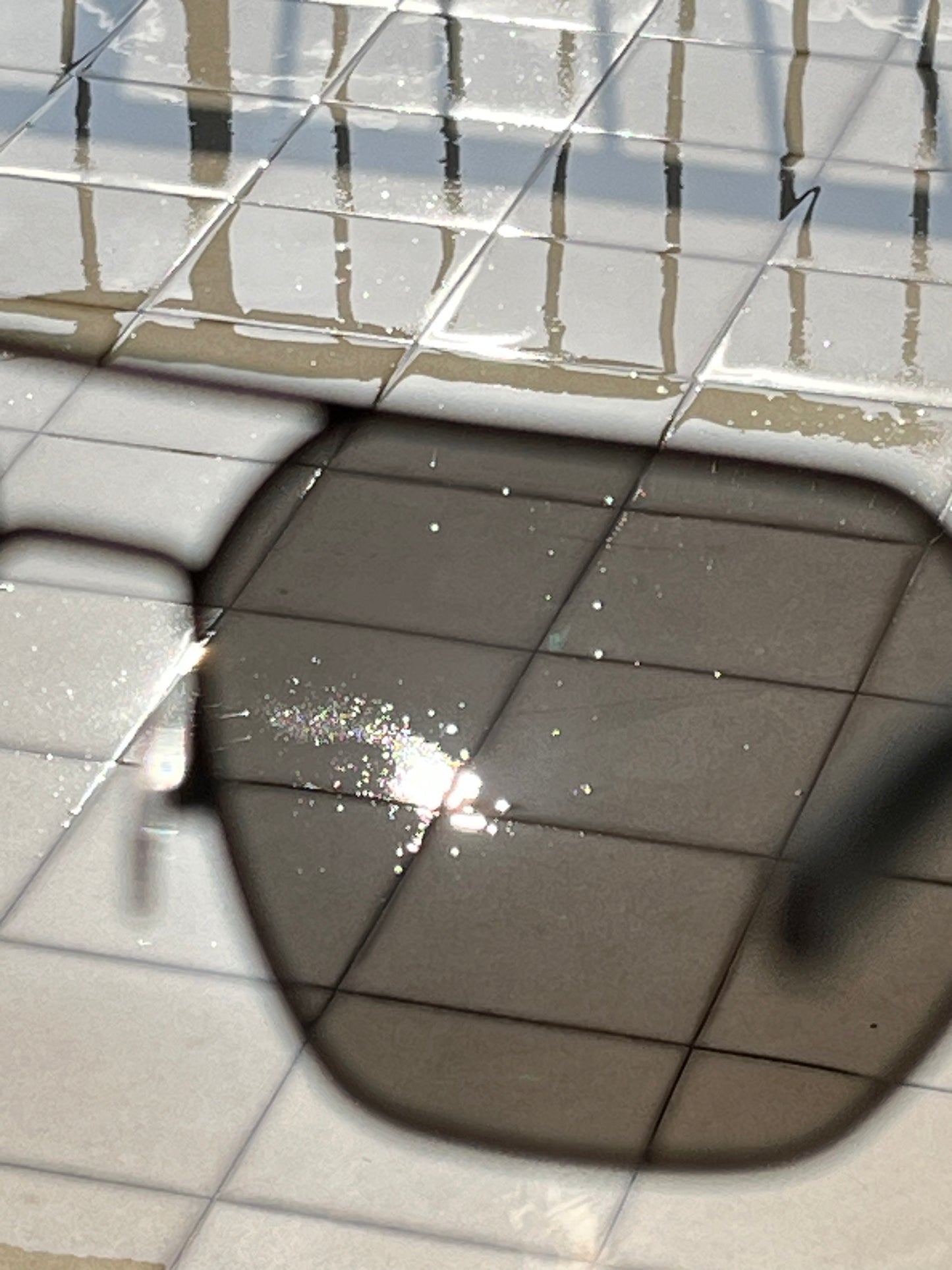 Polarized
